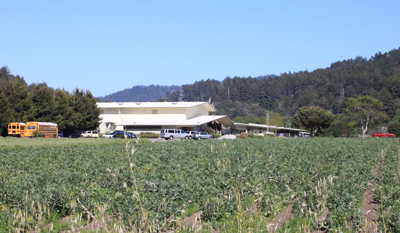Pescadero Middle and High Schools share a campus surrounded by rolling hills and farmland.