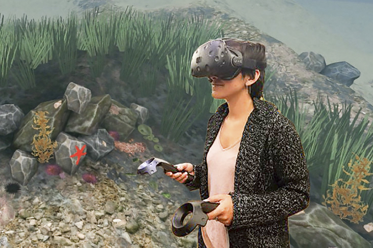 Wearing a virtual reality headset, a researcher tries out the Stanford Ocean Acidification Experience, a new VR science educatio
