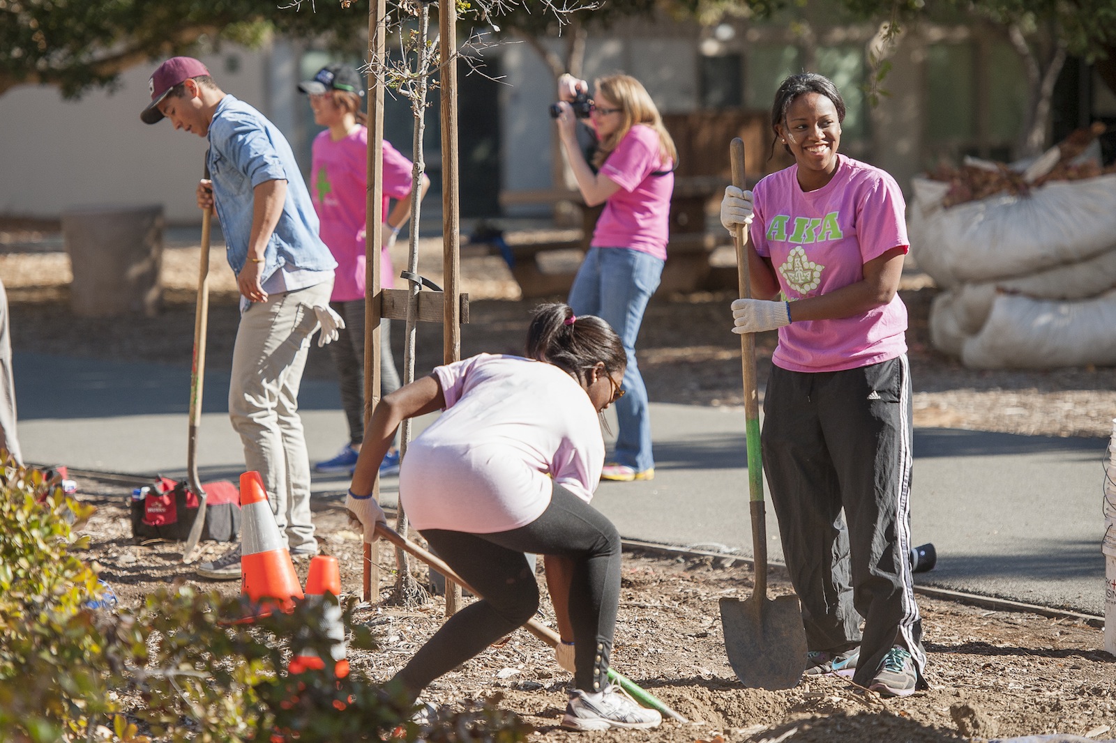 Stanford students plant trees on campus in 2013. Professor William Damon sees such activities as leading to a sense of purpose. (Linda A. Cicero / Stanford News Service)