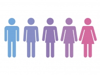 an illustration of genders