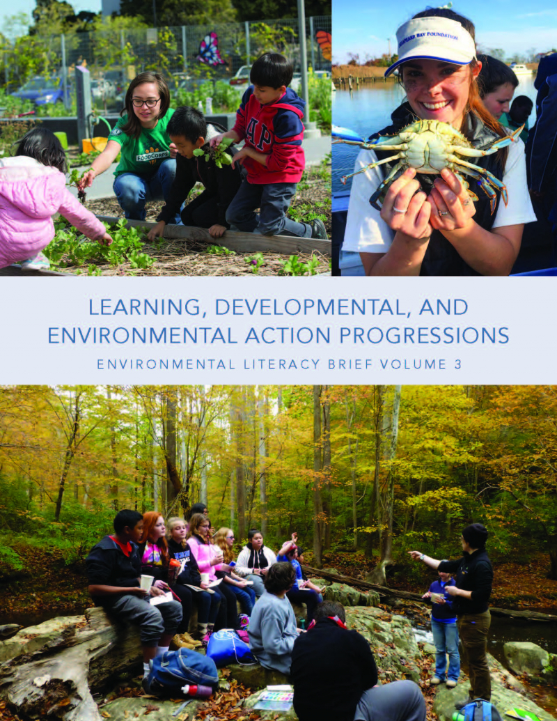 Cover of third environmental literacy brief