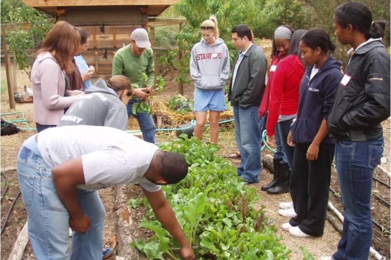 Drew surrounded by students in front of a flower bed.