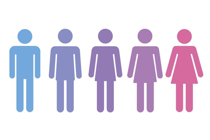 an illustration of genders