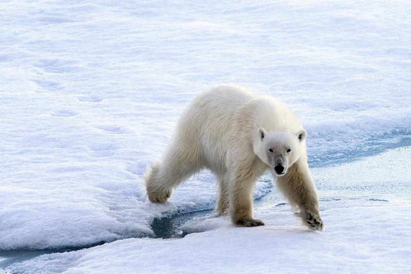 New Stanford report says California science books misinterpret the science behind climate change. (Photo: Christopher Michel/Flickr)