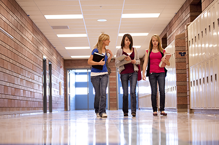 A paper in ‘American Sociological Review’ finds that schools that offer students more choice are more likely to be rank-ordered, cliquish and segregated by race, age, gender and social status. (Photo from iStock)