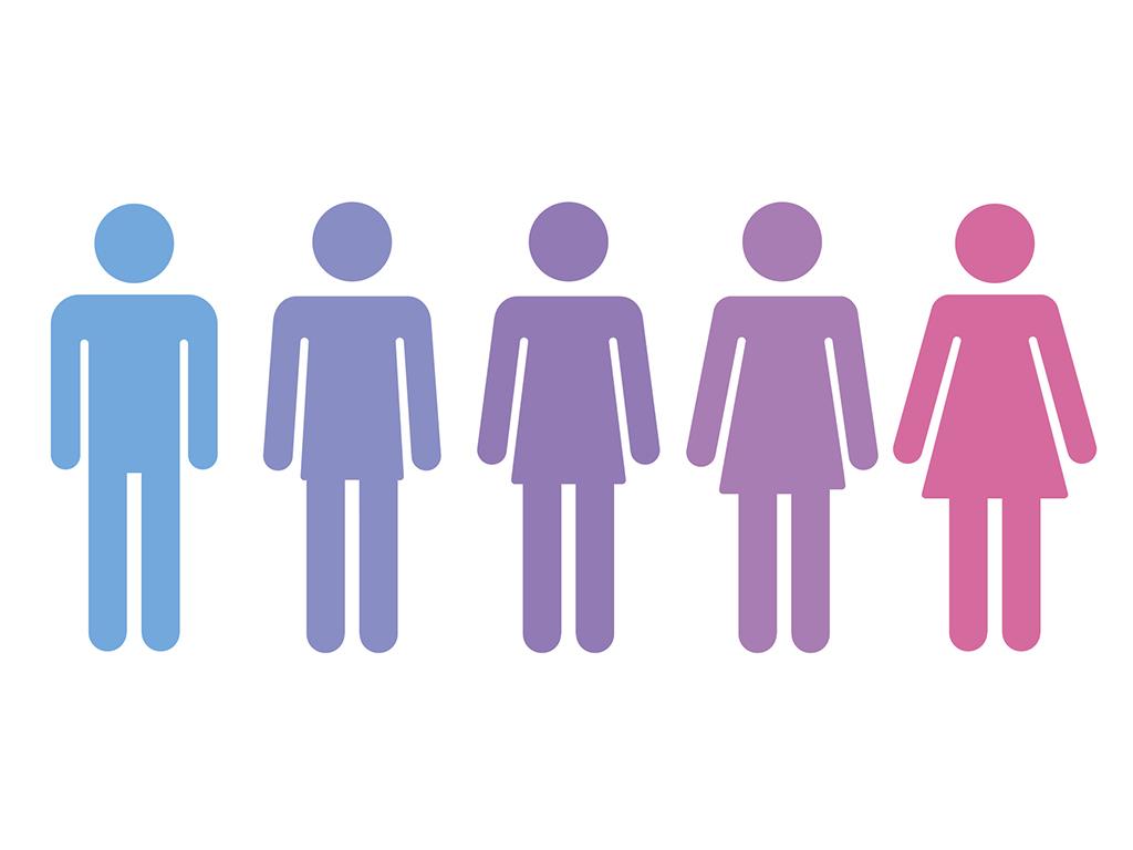 an illustration of genders
