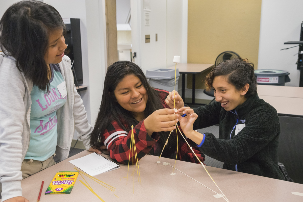 Students at a Youcubed workshop do an activity with sticks and marshmallows
