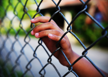 Photo of a hand on a barbed wire fence