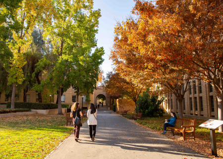 Photo of campus in fall