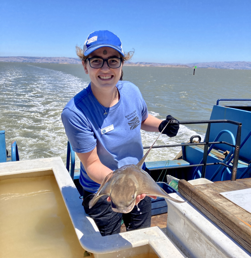 Erin Cole on a boat in the San Francisco Bay holding a bat ray over a tank of water