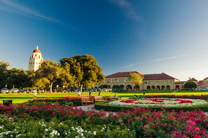 Photo of Stanford Hoover tower and the quad