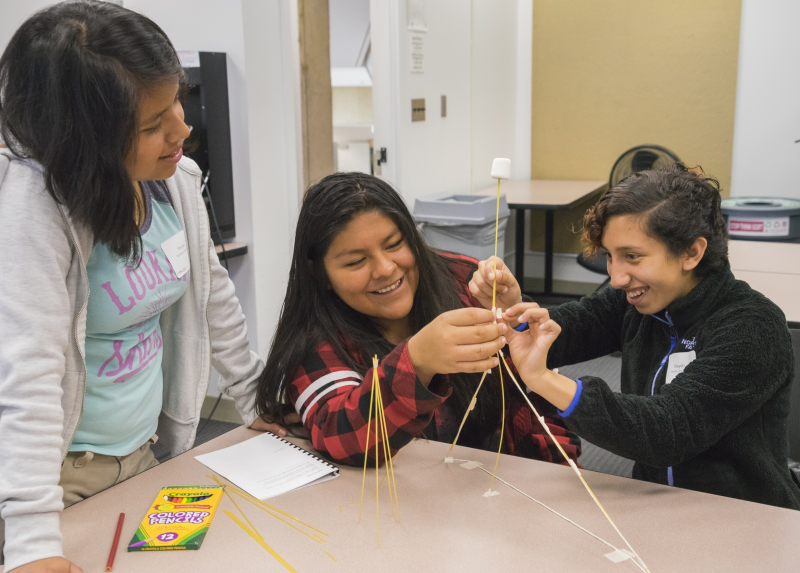 Students at a Youcubed workshop do an activity with sticks and marshmallows