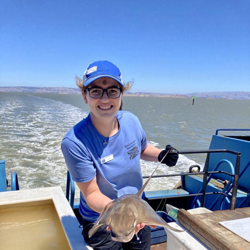 Erin Cole on a boat in the San Francisco Bay holding a bat ray over a tank of water