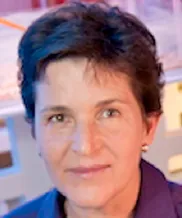 Deborah M Gordon, Collective Work and Play in Ant Colonies