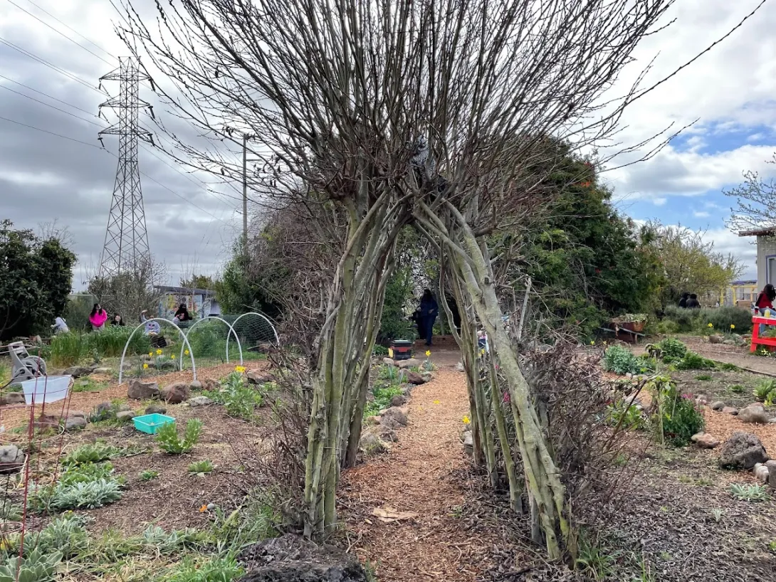 tree arch at EPACS